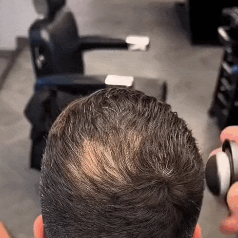 Hair Density Powder